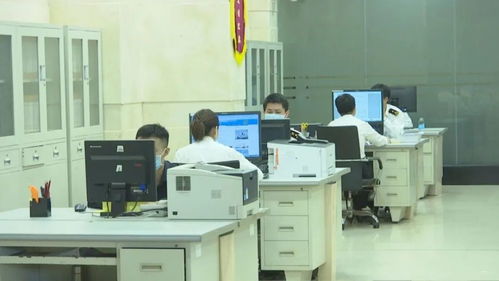 洋浦首票保稅燃料油直供國際航行船舶業務成功落地，開啟燃料補給新篇章