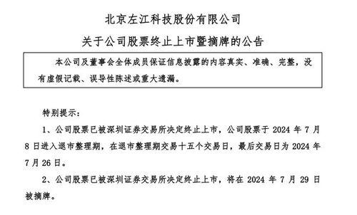 從巔峰墜落 曾對(duì)標(biāo)英偉達(dá)的網(wǎng)絡(luò)安全股，股價(jià)從299元到1元的退市警示錄